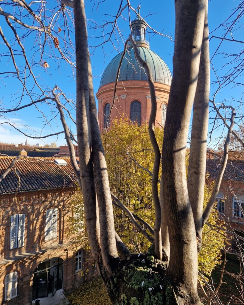 Élagage en milieu contraint établissement hospitalier Toulouse