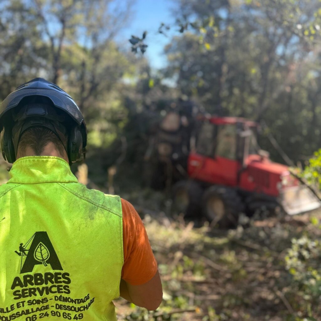 Arboriste grimpeur en intervention post-tempête Occitanie